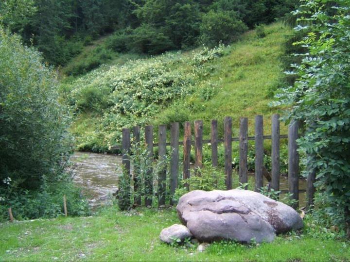 Pension Onelia Gîrda de Sus Εξωτερικό φωτογραφία